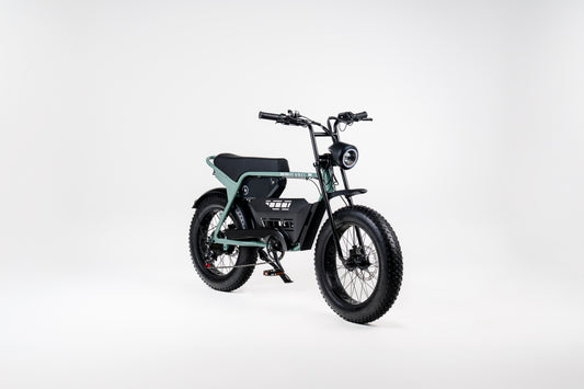 Monkee Bike – Sage
